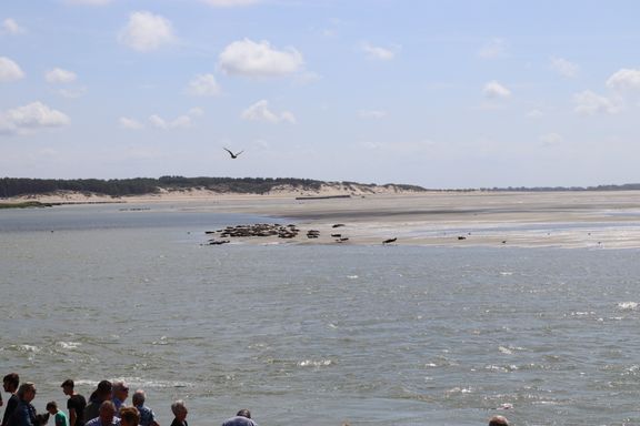 La Confrérie du Hareng Côtier de Berck aux traditionnelles Fête de la Mer du 15 VIII 2024