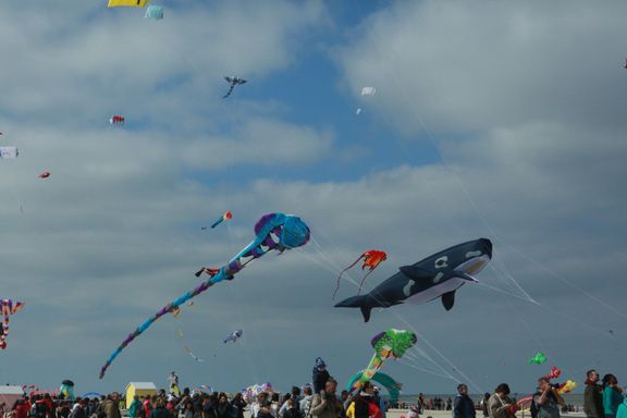 Cerfs-Volants Berck sur Mer 2023